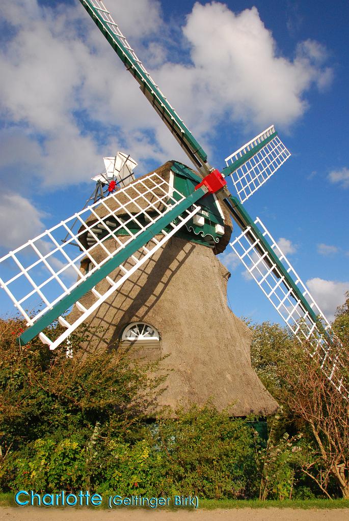1400 DSC_5249.JPG - Windmühle "Charlotte"[en]windmill